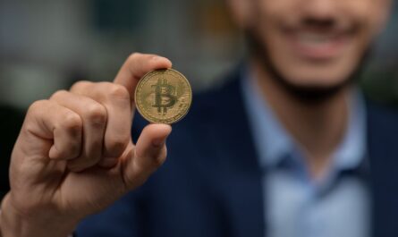 cryptomonnaies