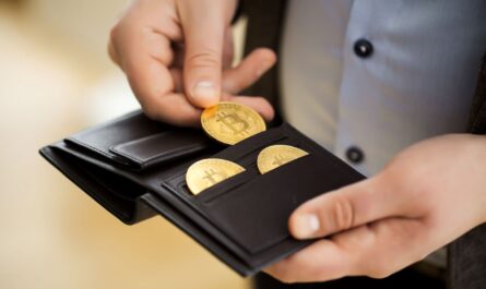 les cryptomonnaies