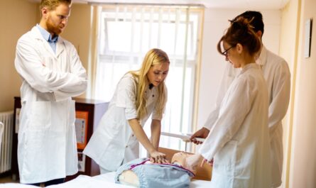 Formation en Soins Infirmiers